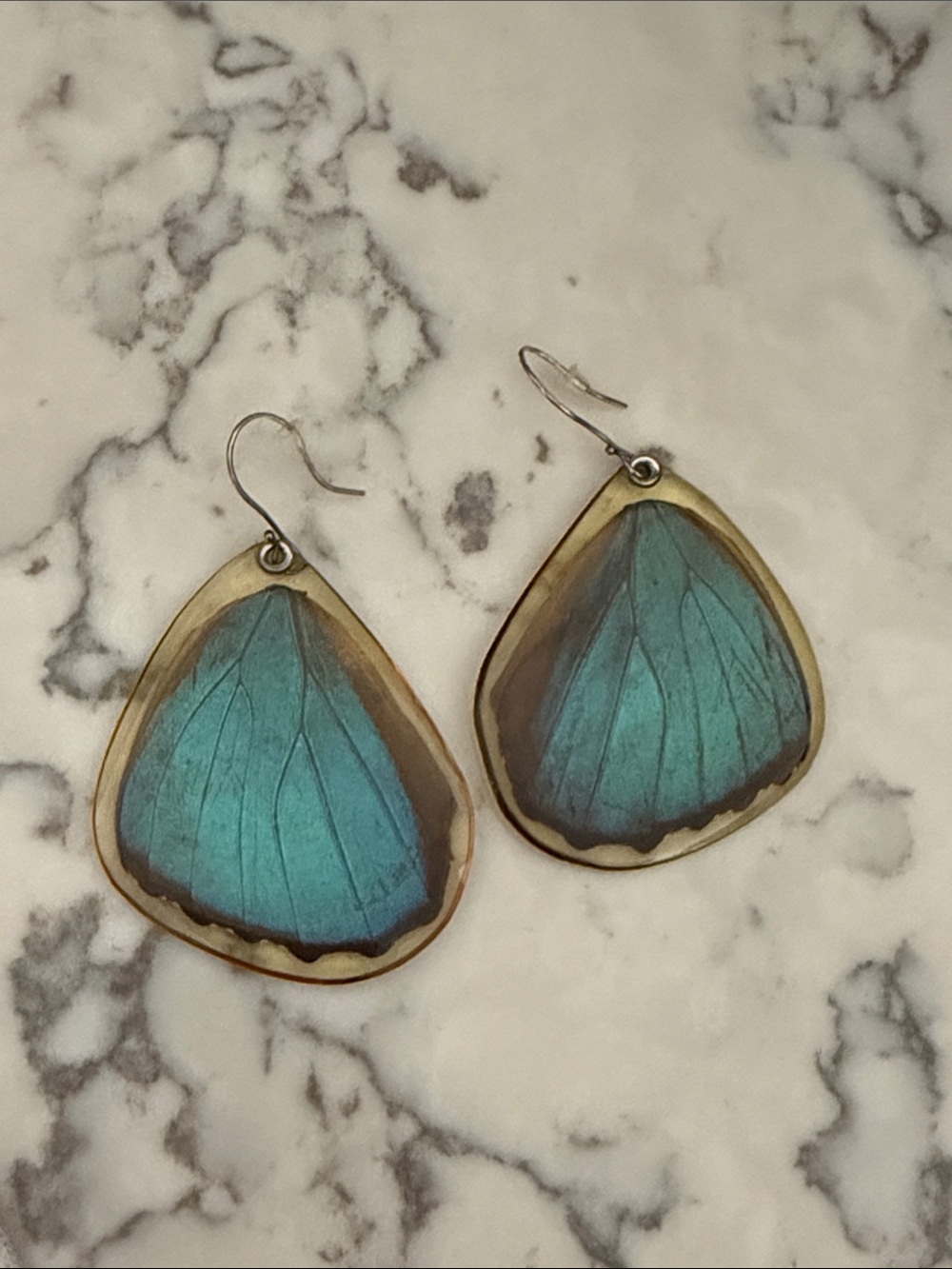 Iridescent Blue Butterfly Wing Drop Earrings